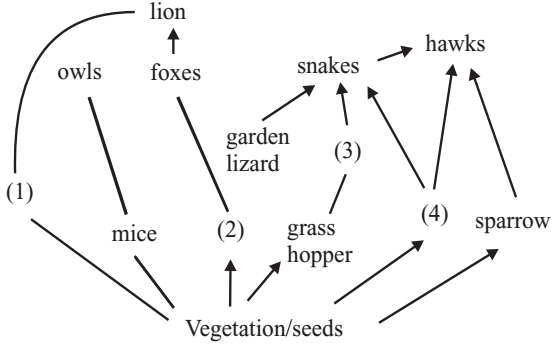 Identify the likely organisms (1), (2), (3) and (4) in