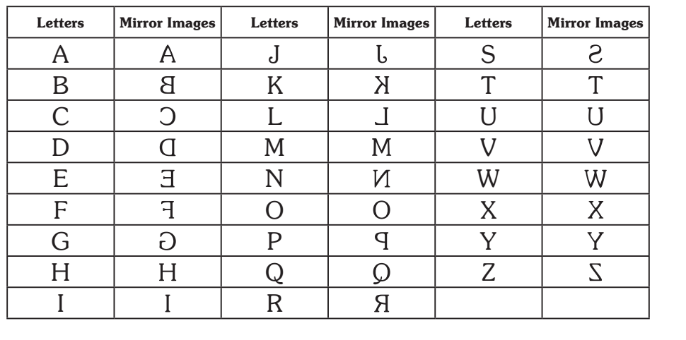 Both horizontal and vertical mirror - georgiakool